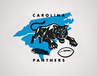 Carolina Panthers Hidden History