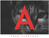 ADAM.CG PRO - Free Typeface