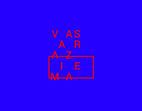 V AS A R A Z I E M A