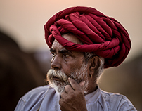 pushkar camel fair