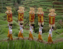 Standard Chartered Commercial
